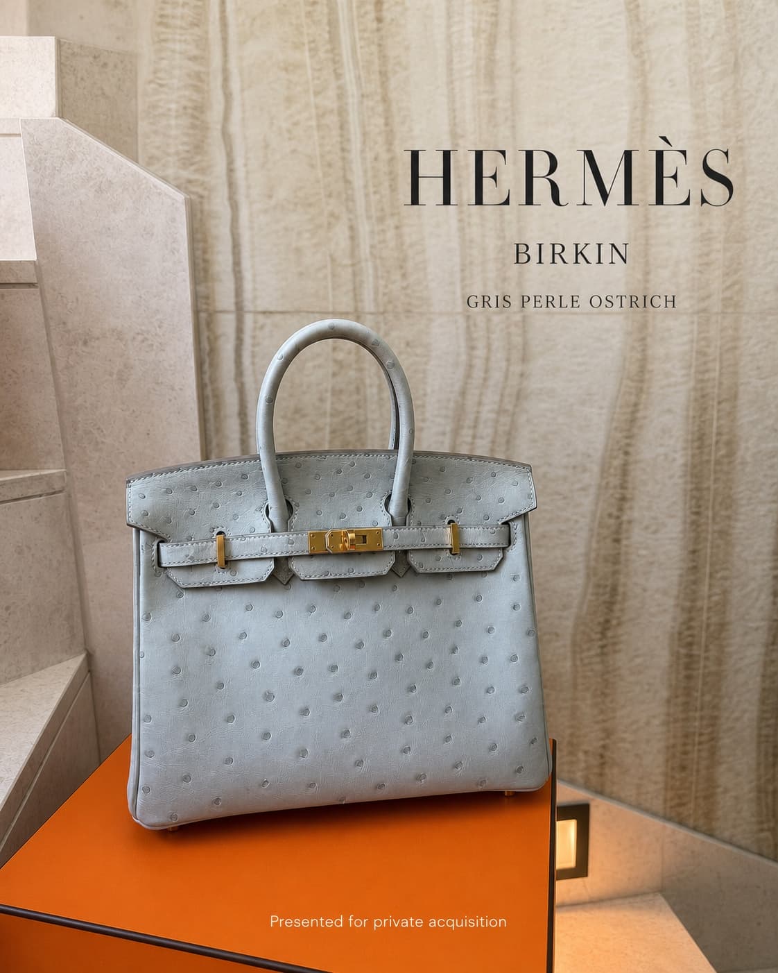 Hermès Birkin 30 Ostrich